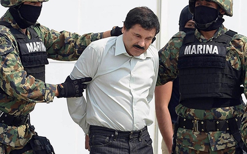 Mexico thu 11 chiếc máy bay trong chiến dịch lùng bắt "bố già" El Chapo