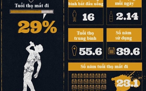 TS Vũ Thế Long: 'Không phải tại rượu, mà tại người ta hư hỏng'