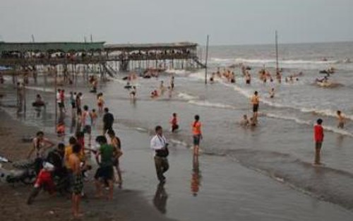 Xử lý việc đưa thông tin không chính xác về hải sản chết tại bãi biển Cồn Vành