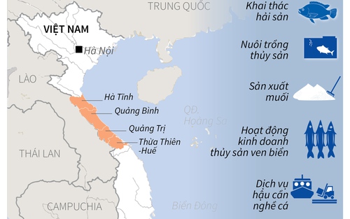 7 nhóm đối tượng được bồi thường thiệt hại do Formosa