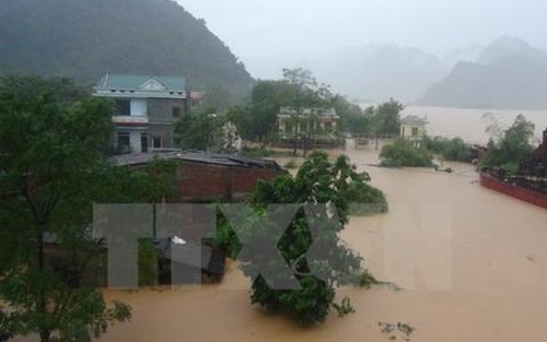 TP.HCM: Các tổ chức, cá nhân hỗ trợ đồng bào miền Trung
