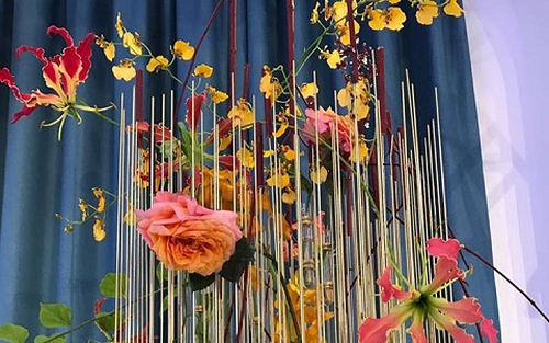 Ngắm những kiệt tác đỉnh cao của nghệ thuật trình diễn hoa