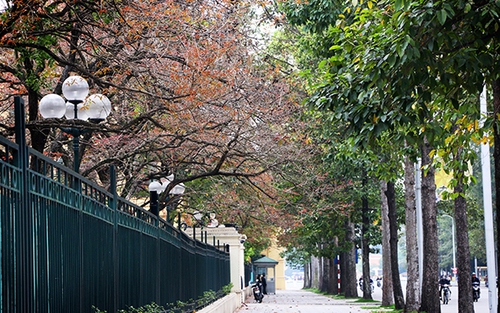 Hà Nội đẹp nao lòng khoảnh khắc cuối Xuân