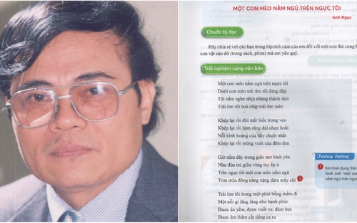 Gặp lại tác giả được đưa vào sách giáo khoa: Anh Ngọc 'yêu thật - đau thật - viết thật'