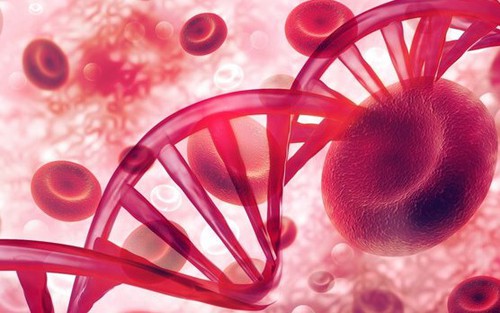 Mỹ phê duyệt liệu pháp gene đầu tiên chữa trị bệnh rối loạn đông máu