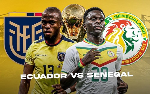 Chuyên gia nhận định Ecuador vs Senegal (22h00 hôm nay), WC 2022 bảng A