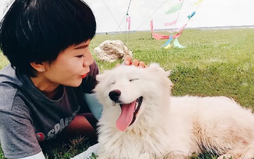 Người phụ nữ làm nghề trợ tử cho thú cưng: Tiễn đưa hàng nghìn sinh linh nhỏ bé, chứng kiến cái thiện và ác của con người