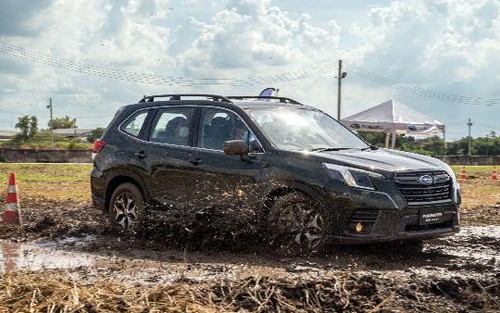 Subaru Forester - ‘Sầu riêng’ trong chợ xe Việt Nam