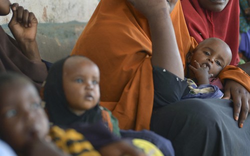FAO cảnh báo về tình hình nhân đạo thảm khốc ở Somalia