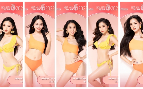 Điểm danh Top ứng viên sáng giá tranh ngôi vị Tân Hoa hậu Việt Nam