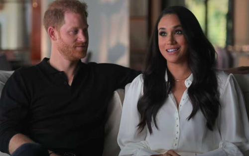 Harry và Meghan đã chứng minh họ là 'hình mẫu lý tưởng' mà tất cả mọi người cần tránh khi xử sự với gia đình