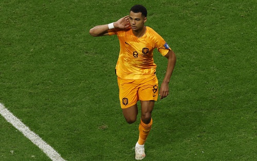 Liverpool: Chờ Cody Gakpo kích hoạt Darwin Nunez