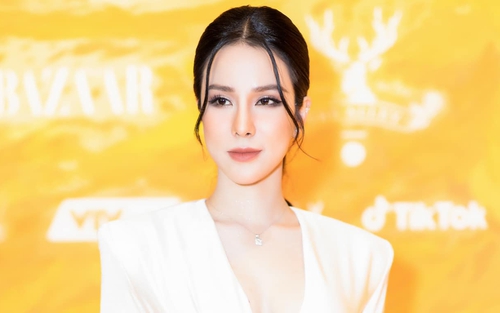 Diệp Lâm Anh: Anh Đức đón con trai về nhưng không cho tới trường