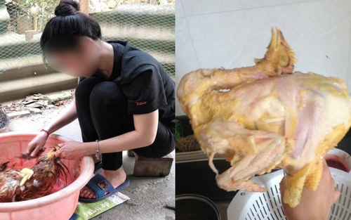 Xôn xao câu chuyện bắt con dâu phải biết cắt tiết gà gây chú ý ngày giáp Tết