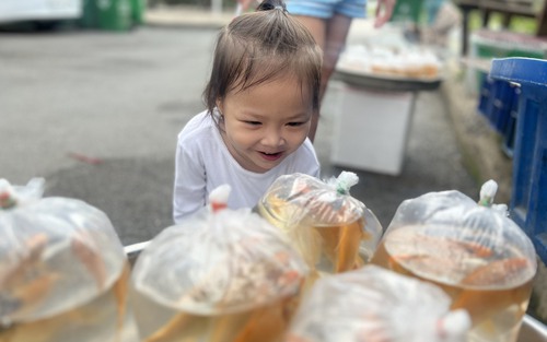 Một hoạt động rất ý nghĩa mà bố mẹ nên cùng con thực hiện trong ngày hôm nay: Con trưởng thành, hiểu chuyện hơn hẳn 