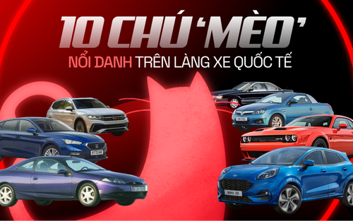 10 chú 'mèo' nổi danh trên làng xe quốc tế