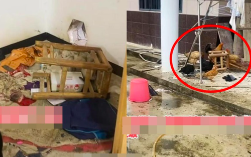 Về quê ăn Tết, một người vợ tức giận tột độ khi vừa bước chân vào nhà, nhìn hình ảnh mà ngao ngán