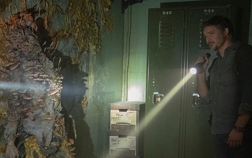 Giải mã loài nấm ký sinh có thể biến vật chủ thành ‘zombie’ đã truyền cảm hứng cho The Last Of Us