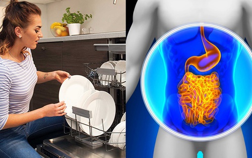 Viện Nghiên cứu Dị ứng và Hen suyễn cảnh báo: Máy rửa bát có khả năng tàn phá ruột và âm thầm gây nên các bệnh mạn tính 