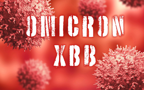 Xuất hiện biến chủng "tồi tệ nhất" XBB của Omicron tại TP.HCM: Đặc tính lây lan cực nhanh, trốn tránh được miễn dịch từ vaccine