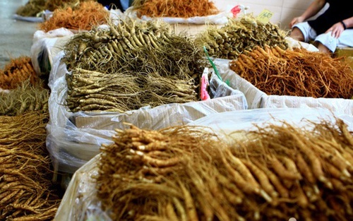 Mẹ Việt ở Hàn Quốc kể chuyện đi chợ nhân sâm lớn nhất xứ sở kim chi, hàng bày la liệt như khoai lang nhiều đến choáng ngợp