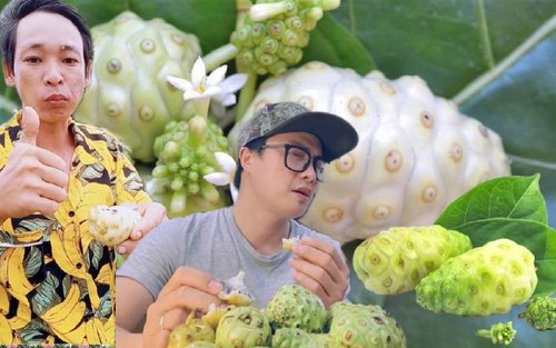 Loại quả dân dã được cộng đồng mạng đua nhau ăn thử nhưng cái kết khiến ai cũng phải tháo chạy