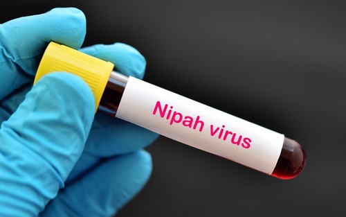 Indonesia kêu gọi cảnh giác với virus Nipah