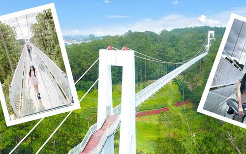 Đà Lạt hoàn thành cầu kính 7D, team mê cảm giác mạnh mê mẩn với hiệu ứng âm thanh nứt vỡ