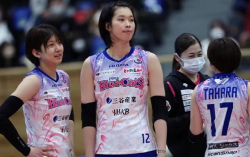 Link xem trực tiếp bóng chuyền Thanh Thúy thi đấu: PFU Blue Cats vs Ageo Medics (10h00 hôm nay)