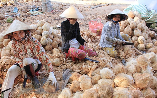 Bến Tre phát triển du lịch sinh thái nông nghiệp