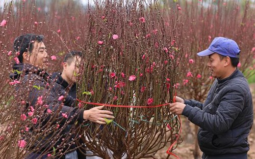 Chốt phương án nghỉ Tết Âm lịch 7 ngày, nghỉ lễ Quốc khánh 4 ngày