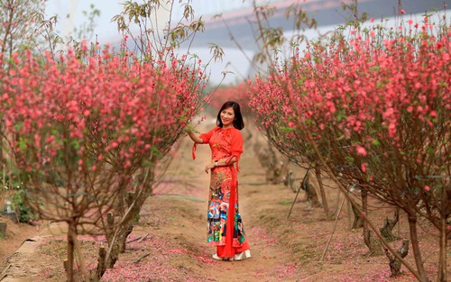 Hà Nội: Khu du lịch Nhật Tân được công nhận cấp thành phố