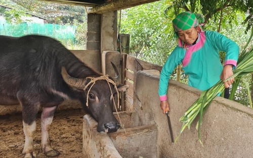 Công điện của Thủ tướng Chính phủ về phòng, chống rét đậm, rét hại kéo dài