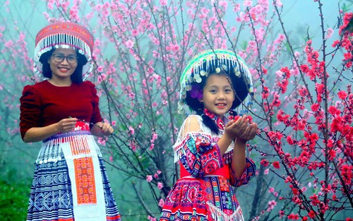 Rực rỡ sắc hoa trên đèo Pha Đin