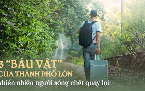 Tại sao nhiều người cầm tiền tỷ về quê chưa bao lâu đã hối hận: Thành phố lớn có 3 'báu vật', không dễ gì nhiều người bỏ qua
