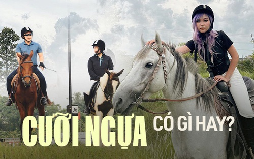 Đến tận nơi xem học cưỡi ngựa: Tốn tiền triệu nhưng vẫn chưa đủ, liệu có quý tộc và thanh cảnh như lời đồn?