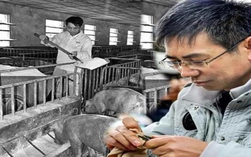 Phó giám đốc Trung Quốc tự biến mình thành "đặc vụ ngầm": 5 lần "ẩn thân" vào các doanh nghiệp lớn, đi chăn lợn, làm xưởng may chỉ để giúp dân tìm việc tốt