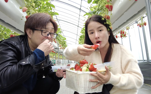 Bà Nhân Vlog than stress nhưng vẫn ra video đều và khóa bình luận hậu drama, dân tình chỉ ra lý do nên thông cảm