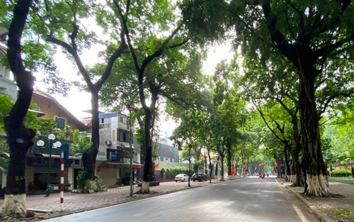 Thời tiết hôm nay: Đông Bắc Bộ trời chuyển mát
