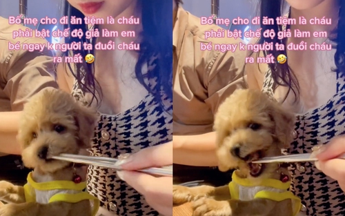 Ngồi giữa quán dùng đũa gắp đồ ăn cho cún cưng, cô gái khiến dân tình phẫn nộ: "Thế này thì ai dám ăn ở đấy nữa"? 