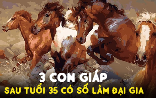 Sau tuổi 35, có 3 con giáp chỉ đợi một bước chuyển nổi bật, có số làm đại gia: Nếu không lưu ý dễ vuột ngay thời cơ vàng