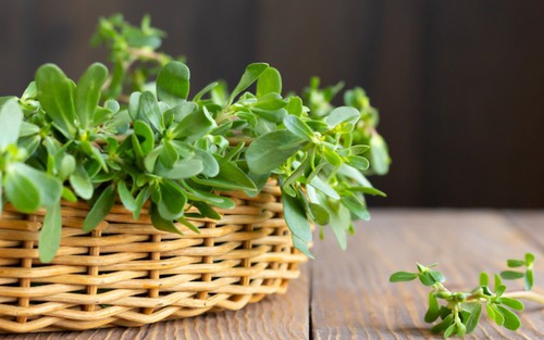 Loại rau ví như nhân sâm, mọc dại khắp nơi: Thế giới dùng nhiều, người Việt chẳng ăn