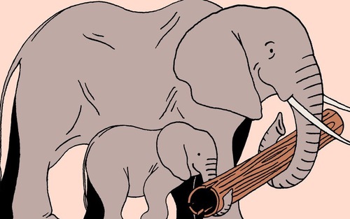 
Sống thiếu kỷ luật và nề nếp sẽ khó thành tài: 3 điều cha mẹ nên dạy con ngay từ nhỏ, chắc chắn con sẽ trở thành người tài năng, tốt bụng 
