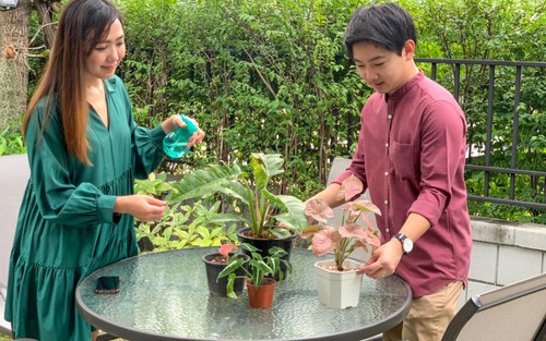 Nên chọn mua nhà ngoại ô hay nhà trong trung tâm thành phố?