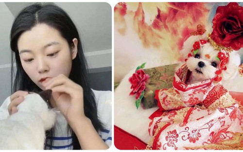 Bỏ việc lương hơn 30 triệu/tháng, 9X về quê làm thợ may cho thú cưng, kiếm 'ngon ơ’ hàng trăm triệu đồng