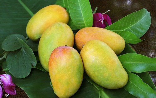 Loại quả 'quốc dân' được nhiều người yêu thích, nhưng một số người cần cẩn thận khi ăn