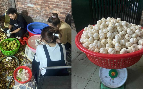 'Năm tam tai' của măng cụt nhưng là cơ hội kiếm tiền bất ngờ của nhiều người: Lột vỏ kiếm 600k/ngày