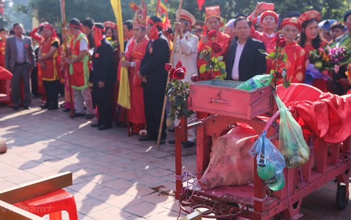 Lễ hội sử dụng động vật nên thay đổi thế nào?