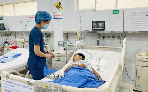 Ăn nấm mọc trên xác nhộng ve sầu, hai mẹ con nhập viện