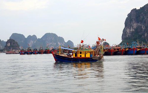 Bão số 1 cách Móng Cái khoảng 400 km, sức gió mạnh cấp 12, giật cấp 15